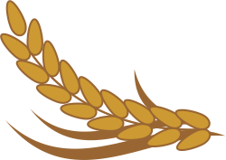 dibujo de espiga